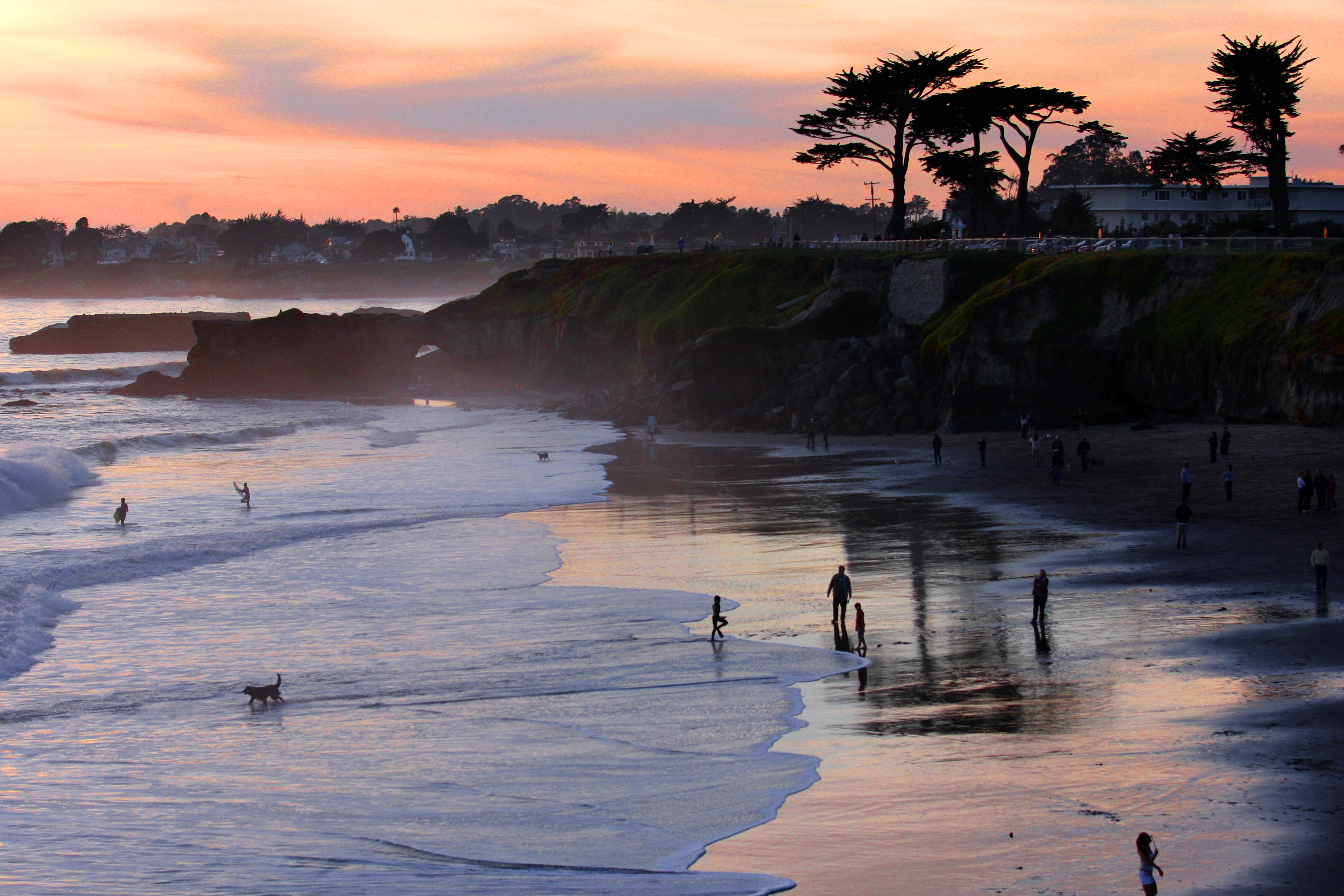 Its Beach in Santa Cruz, California
Photograph by Shmuel Thaler/Santa Cruz Sentinel