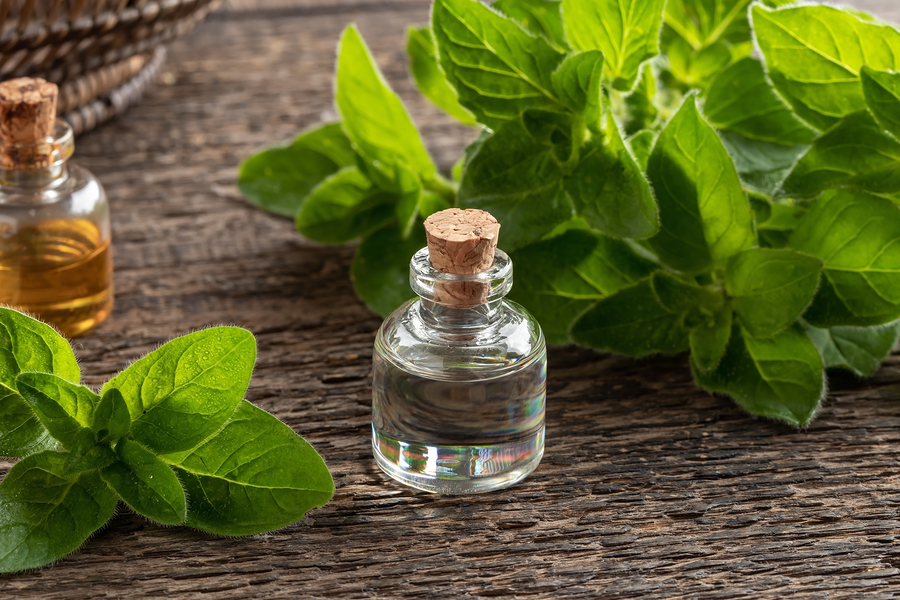 Oregano oil deals for yeast infection